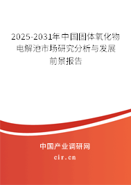2025-2031年中國固體氧化物電解池市場研究分析與發(fā)展前景報告