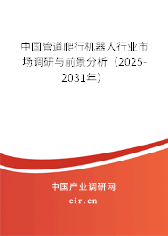 中國管道爬行機器人行業(yè)市場調(diào)研與前景分析（2025-2031年）