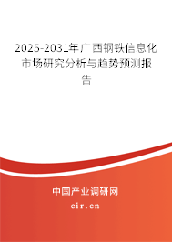 2025-2031年廣西鋼鐵信息化市場(chǎng)研究分析與趨勢(shì)預(yù)測(cè)報(bào)告
