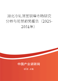 湖北冷軋薄寬鋼帶市場研究分析與前景趨勢報告（2025-2031年）