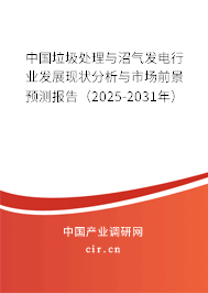 中國垃圾處理與沼氣發(fā)電行業(yè)發(fā)展現(xiàn)狀分析與市場前景預(yù)測報(bào)告（2025-2031年）