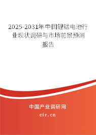 2025-2031年中國鋰錳電池行業(yè)現(xiàn)狀調研與市場前景預測報告