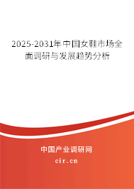 2025-2031年中國女鞋市場全面調(diào)研與發(fā)展趨勢分析