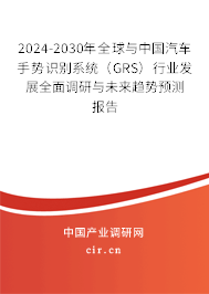 2024-2030年全球與中國汽車手勢識別系統(tǒng)（GRS）行業(yè)發(fā)展全面調(diào)研與未來趨勢預(yù)測報告