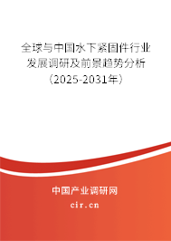 全球與中國水下緊固件行業(yè)發(fā)展調(diào)研及前景趨勢分析（2025-2031年）
