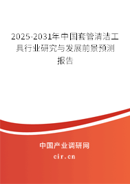 2025-2031年中國套管清潔工具行業(yè)研究與發(fā)展前景預測報告