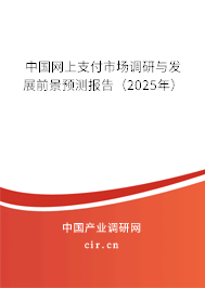 中國網(wǎng)上支付市場調(diào)研與發(fā)展前景預(yù)測報告（2025年）
