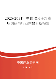 2025-2031年中國準分子燈市場調研與行業(yè)前景分析報告