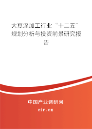 大豆深加工行業(yè)“十二五”規(guī)劃分析與投資前景研究報(bào)告