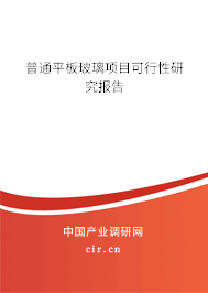 普通平板玻璃項目可行性研究報告