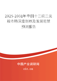2025-2031年中國(guó)十二烷二元胺市場(chǎng)深度剖析及發(fā)展前景預(yù)測(cè)報(bào)告