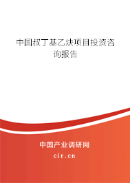 中國叔丁基乙炔項目投資咨詢報告
