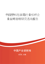中國(guó)塑料包裝箱行業(yè)標(biāo)桿企業(yè)戰(zhàn)略管理研究咨詢(xún)報(bào)告