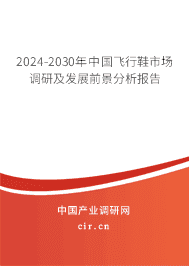2023-2029年中國飛行鞋市場調(diào)研及發(fā)展前景分析報告 2023-2029年中國飛行鞋市場調(diào)研及發(fā)展前景分析報告