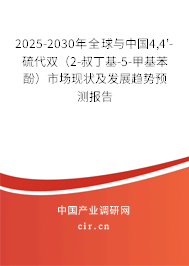 2025-2030年全球與中國4,4'-硫代雙（2-叔丁基-5-甲基苯酚）市場現(xiàn)狀及發(fā)展趨勢預(yù)測報告