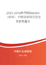 2025-2031年中國BusBar（母排）市場調(diào)查研究及前景趨勢報告