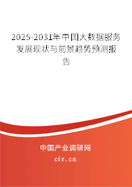 2025-2031年中國大數據服務發(fā)展現(xiàn)狀與前景趨勢預測報告 2025-2031年中國大數據服務發(fā)展現(xiàn)狀與前景趨勢預測報告
