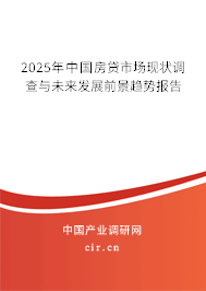 2025年中國房貸市場現(xiàn)狀調(diào)查與未來發(fā)展前景趨勢報告