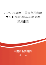 2025-2031年中國(guó)金剛石水磨片行業(yè)發(fā)展分析與前景趨勢(shì)預(yù)測(cè)報(bào)告