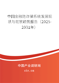 中國金融防詐騙系統(tǒng)發(fā)展現(xiàn)狀與前景趨勢報(bào)告（2025-2031年）