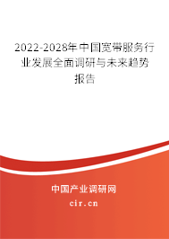 2022-2028年中國(guó)寬帶服務(wù)行業(yè)發(fā)展全面調(diào)研與未來趨勢(shì)報(bào)告