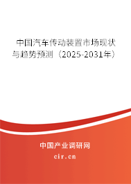 中國汽車傳動裝置市場現(xiàn)狀與趨勢預(yù)測（2025-2031年）