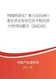 中國燃煤電廠汞污染控制行業(yè)現(xiàn)狀調(diào)查研究及市場前景分析預(yù)測報(bào)告（2025版）