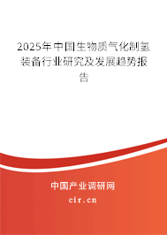 2025年中國生物質(zhì)氣化制氫裝備行業(yè)研究及發(fā)展趨勢報告