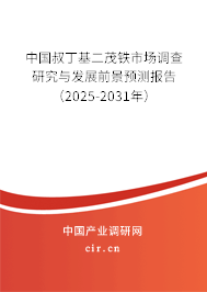 中國叔丁基二茂鐵市場調(diào)查研究與發(fā)展前景預測報告（2025-2031年）