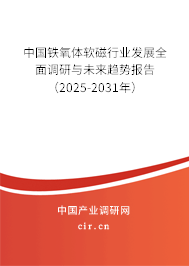 中國(guó)鐵氧體軟磁行業(yè)發(fā)展全面調(diào)研與未來(lái)趨勢(shì)報(bào)告（2025-2031年）