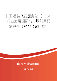 中國通航飛行服務(wù)站（FSS）行業(yè)發(fā)展調(diào)研與市場前景預(yù)測報告（2025-2031年）