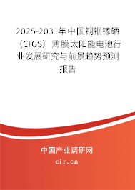 2025-2031年中國(guó)銅銦鎵硒（CIGS）薄膜太陽(yáng)能電池行業(yè)發(fā)展研究與前景趨勢(shì)預(yù)測(cè)報(bào)告
