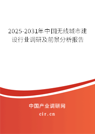2025-2031年中國(guó)無線城市建設(shè)行業(yè)調(diào)研及前景分析報(bào)告