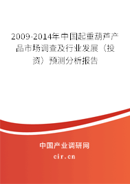 2009-2014年中國起重葫蘆產(chǎn)品市場調(diào)查及行業(yè)發(fā)展（投資）預(yù)測分析報告