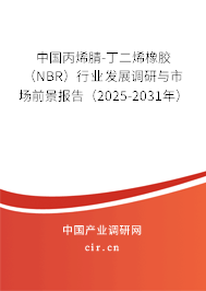 中國丙烯腈-丁二烯橡膠（NBR）行業(yè)發(fā)展調(diào)研與市場前景報告（2025-2031年）