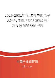 2025-2031年全球與中國電子大宗氣體市場現(xiàn)狀研究分析及發(fā)展前景預(yù)測報告