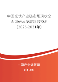 中國光伏產業(yè)鏈市場現狀全面調研及發(fā)展趨勢預測（2025-2031年）