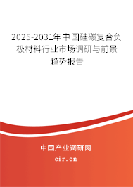 2025-2031年中國硅碳復(fù)合負(fù)極材料行業(yè)市場調(diào)研與前景趨勢報告