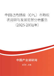 中國己內(nèi)酰胺（CPL）市場現(xiàn)狀調(diào)研與發(fā)展前景分析報告（2025-2031年）