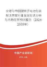 全球與中國鋰離子電池包裝解決方案行業(yè)發(fā)展現(xiàn)狀分析與市場前景預(yù)測報告（2024-2030年）