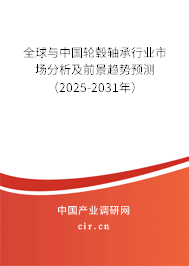 全球與中國輪轂軸承行業(yè)市場(chǎng)分析及前景趨勢(shì)預(yù)測(cè)（2025-2031年）