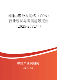 中國(guó)內(nèi)容分發(fā)網(wǎng)絡(luò)（CDN）行業(yè)現(xiàn)狀與發(fā)展前景報(bào)告（2025-2031年）
