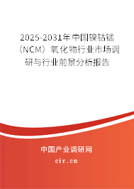 2025-2031年中國(guó)鎳鈷錳（NCM）氧化物行業(yè)市場(chǎng)調(diào)研與行業(yè)前景分析報(bào)告