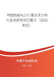 中國(guó)西藏電力行業(yè)現(xiàn)狀分析與發(fā)展趨勢(shì)研究報(bào)告（2025年版）