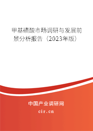 甲基磺酸市場(chǎng)調(diào)研與發(fā)展前景分析報(bào)告（2023年版）