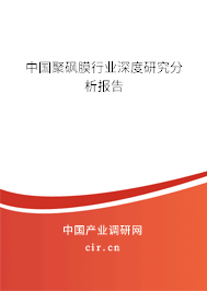 中國(guó)聚砜膜行業(yè)深度研究分析報(bào)告