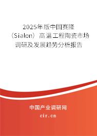2025年版中國賽?。⊿ialon）高溫工程陶瓷市場調(diào)研及發(fā)展趨勢分析報告