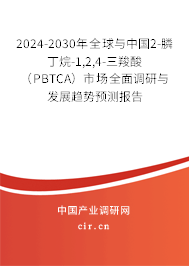 2024-2030年全球與中國2-膦丁烷-1,2,4-三羧酸（PBTCA）市場全面調(diào)研與發(fā)展趨勢預(yù)測報告
