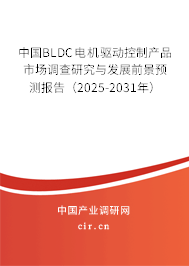 中國BLDC電機(jī)驅(qū)動(dòng)控制產(chǎn)品市場調(diào)查研究與發(fā)展前景預(yù)測報(bào)告（2025-2031年）