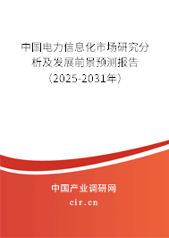 中國(guó)電力信息化市場(chǎng)研究分析及發(fā)展前景預(yù)測(cè)報(bào)告（2025-2031年）